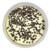 Red Velvet Cheesecake