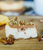 Southern Caramel Praline Pecan Cheesecake
